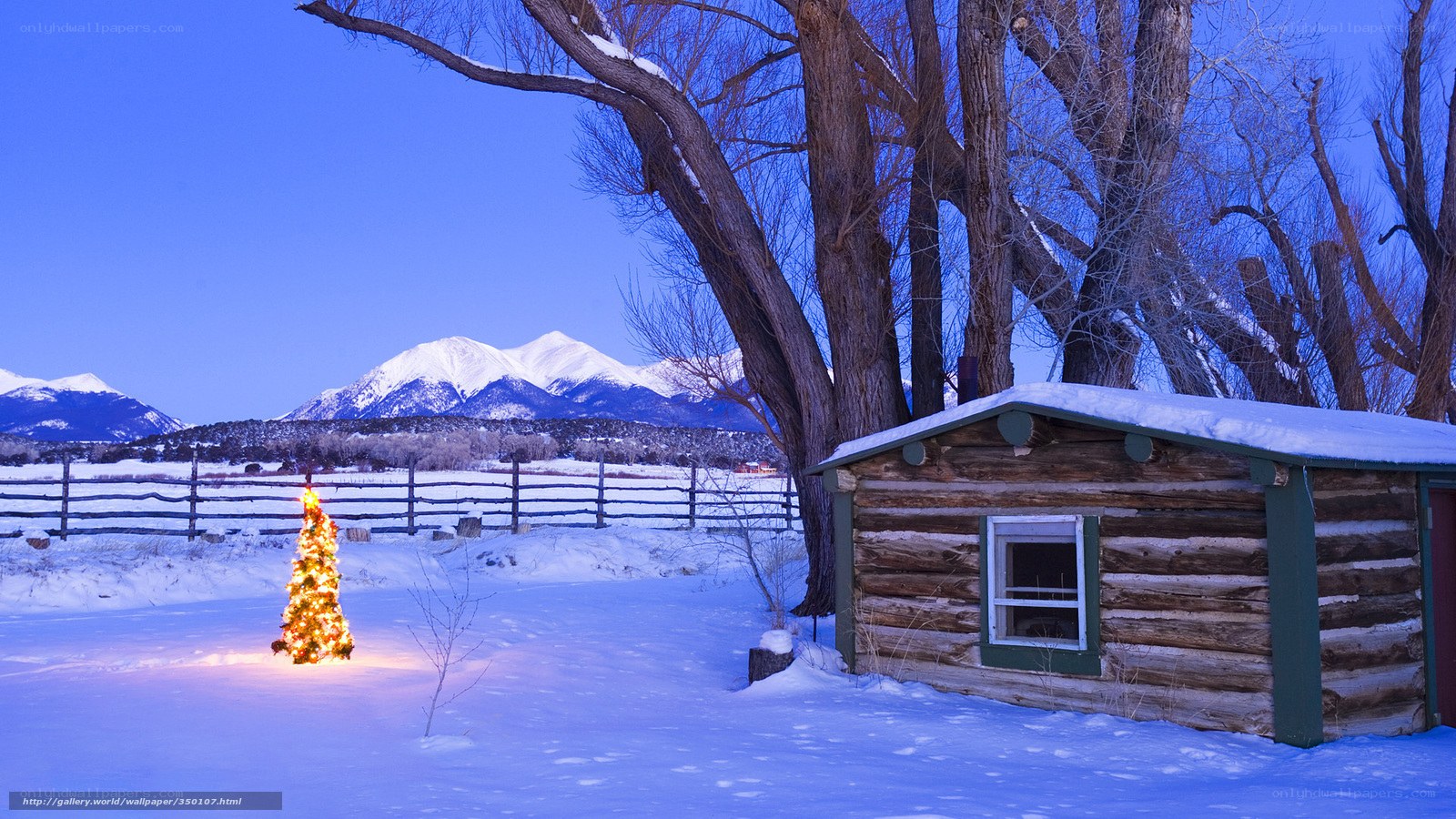 Snowy cabin with Christmas tree