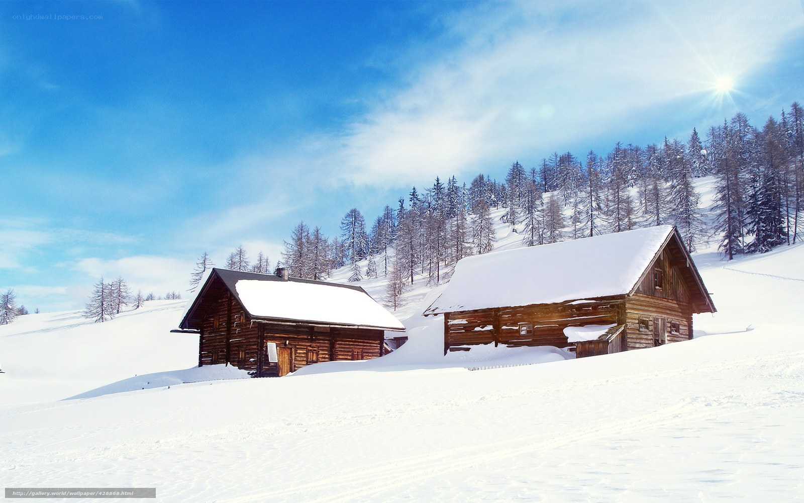 Snowy cabins in winter landscape