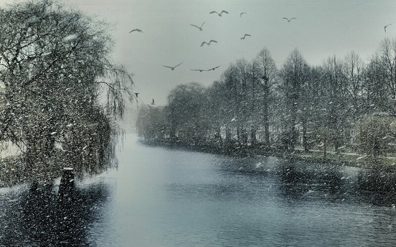 Snowy canal with flying birds