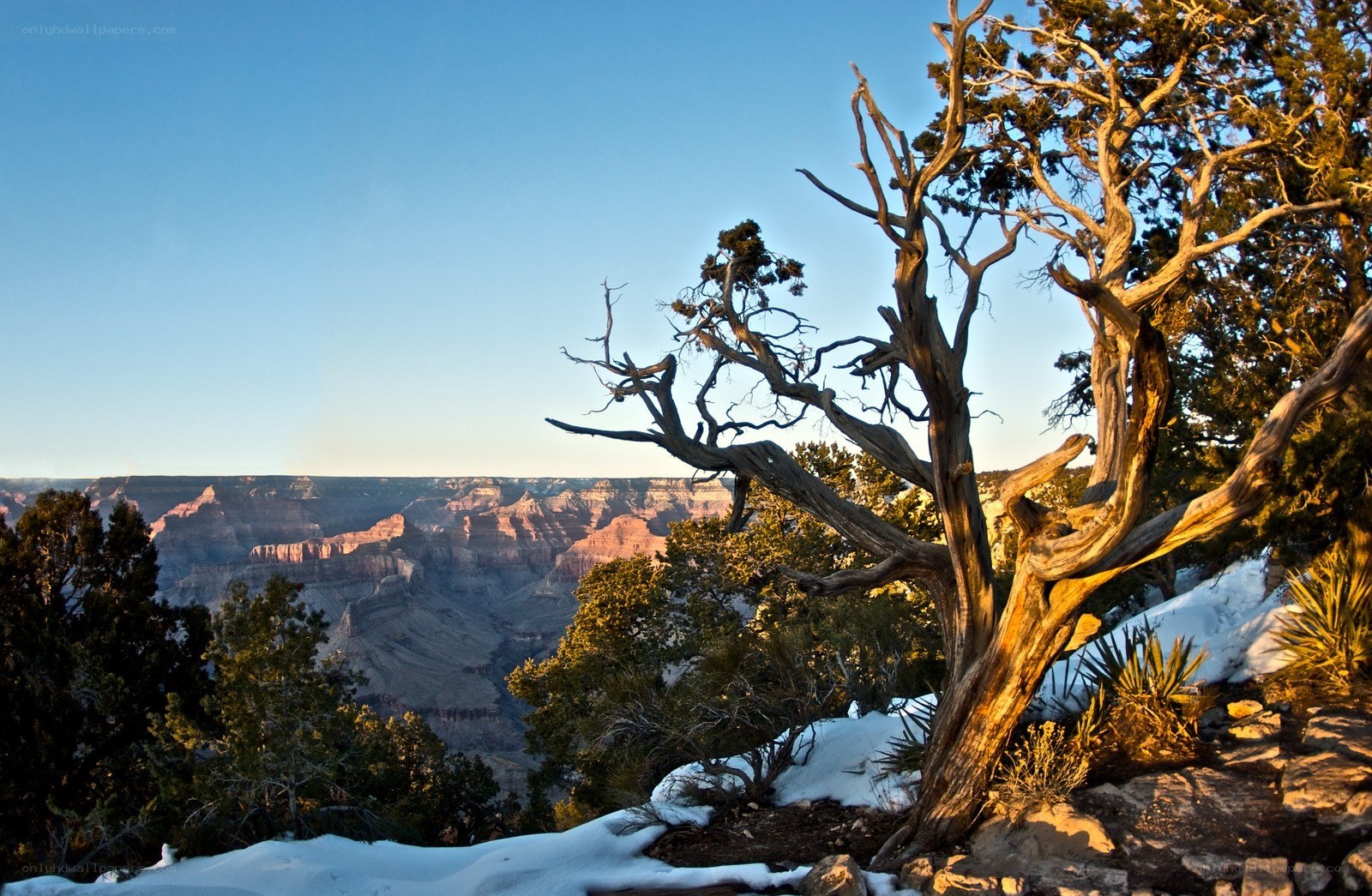 Snowy canyon at sunset