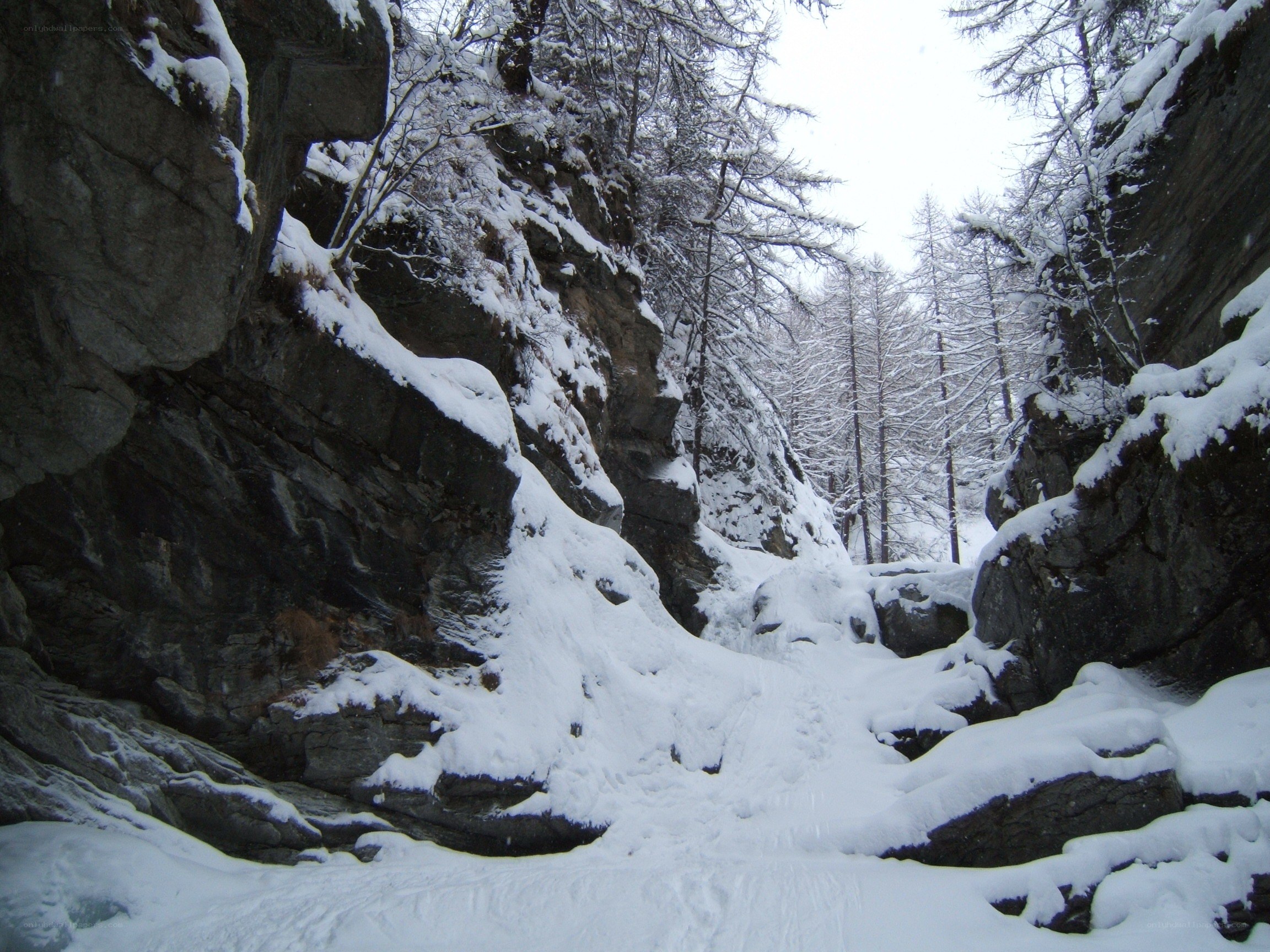 Snowy canyon in winter