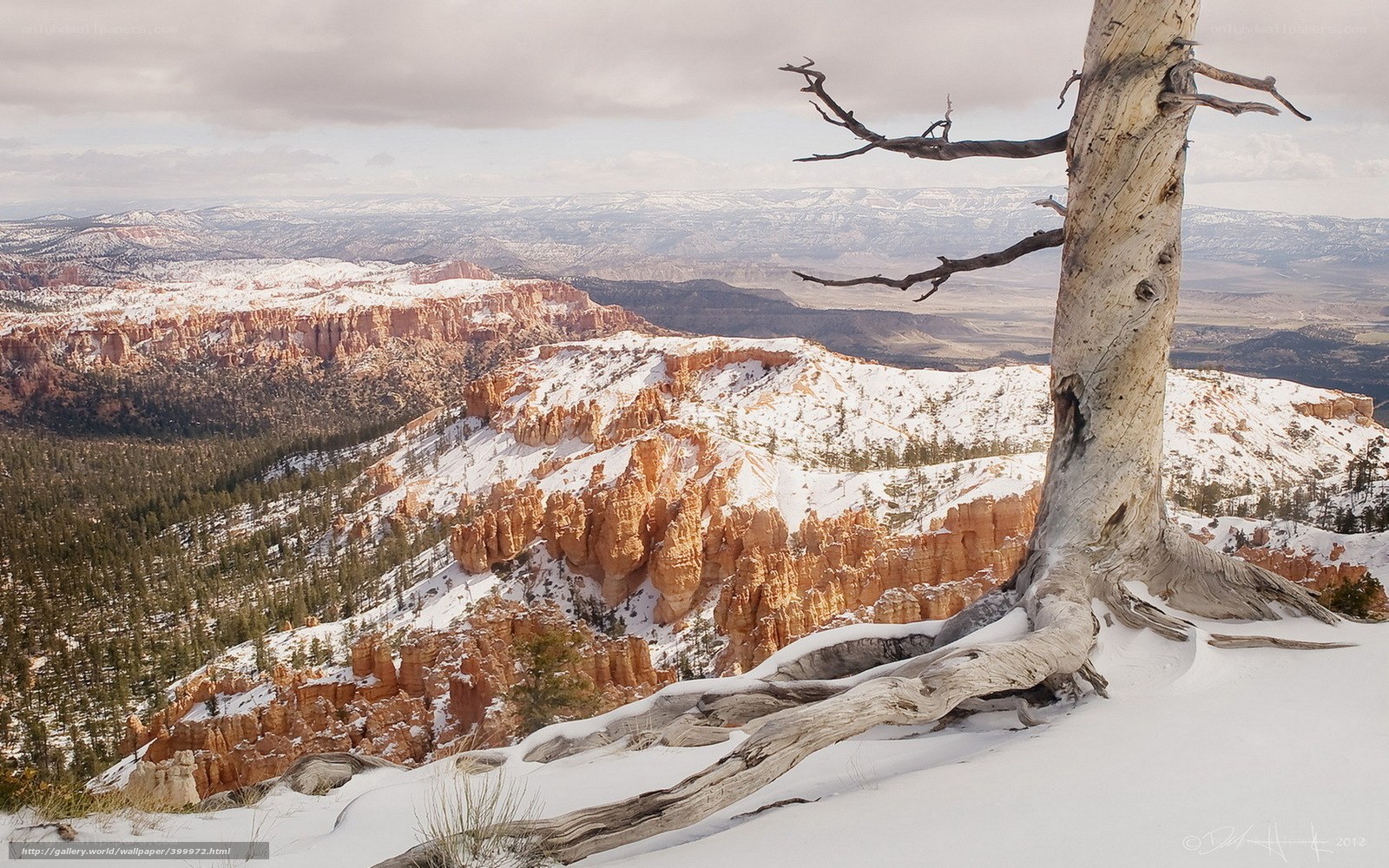 Snowy canyon landscape