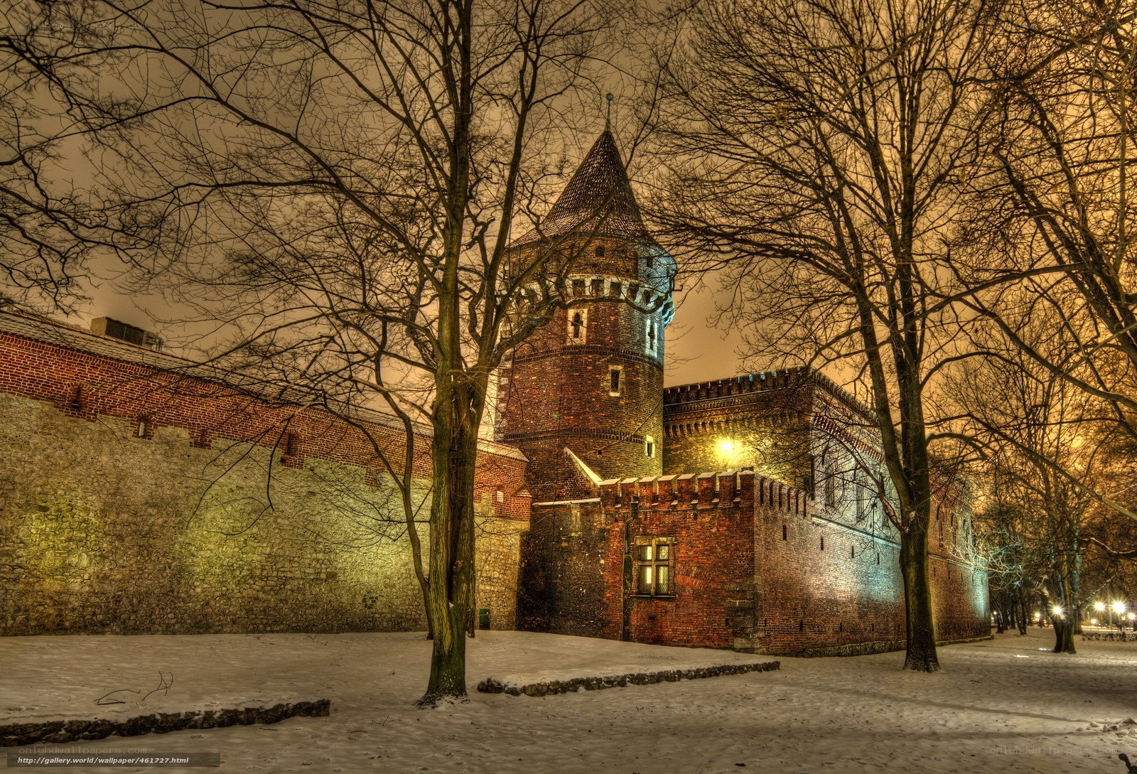 Snowy castle at night