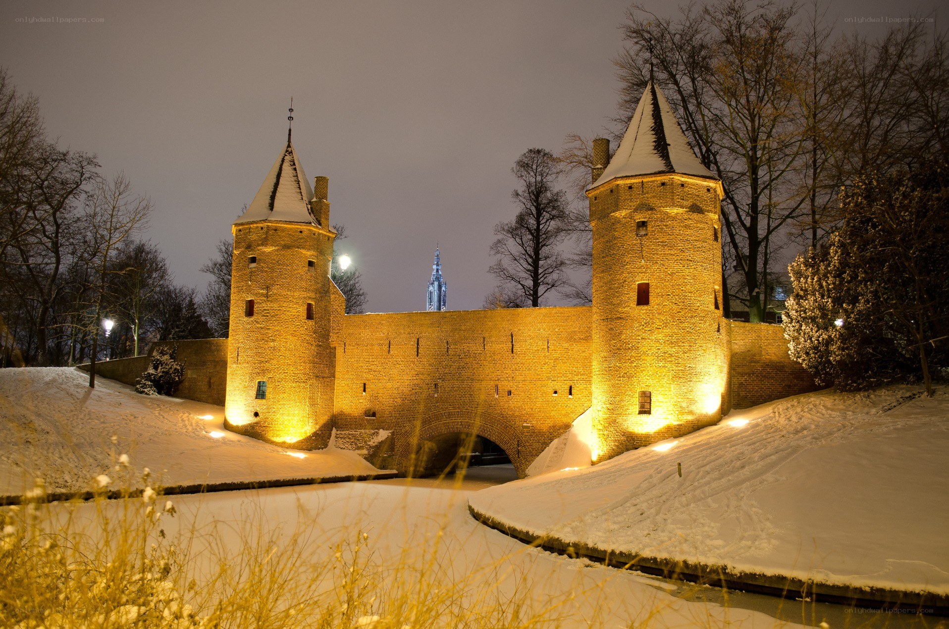 Snowy castle at night