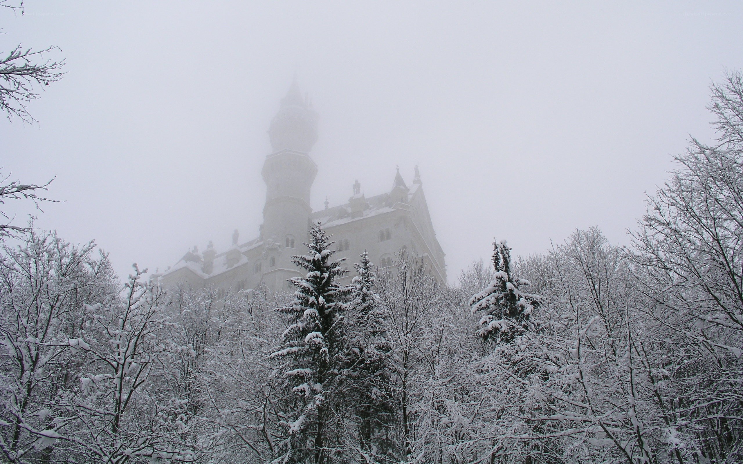 Snowy castle in fog