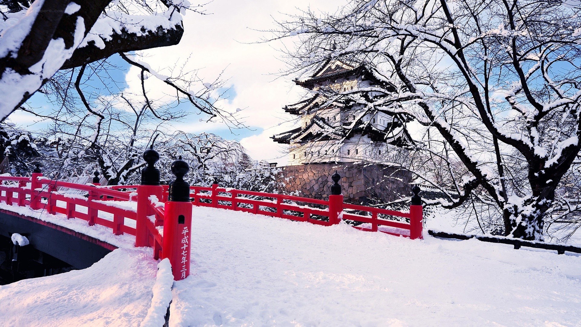 Snowy castle in winter