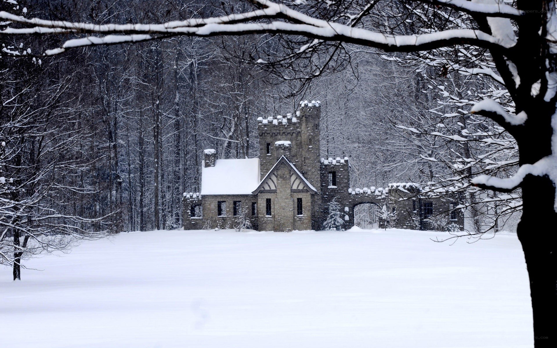 Snowy castle in winter forest