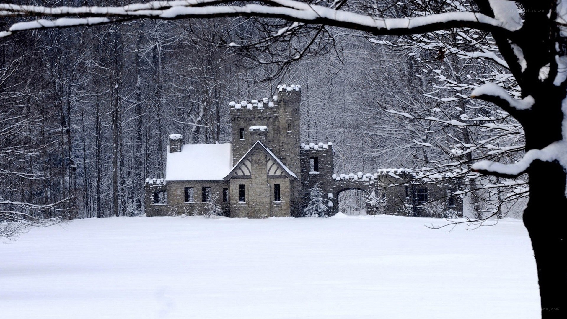 Snowy castle in winter forest