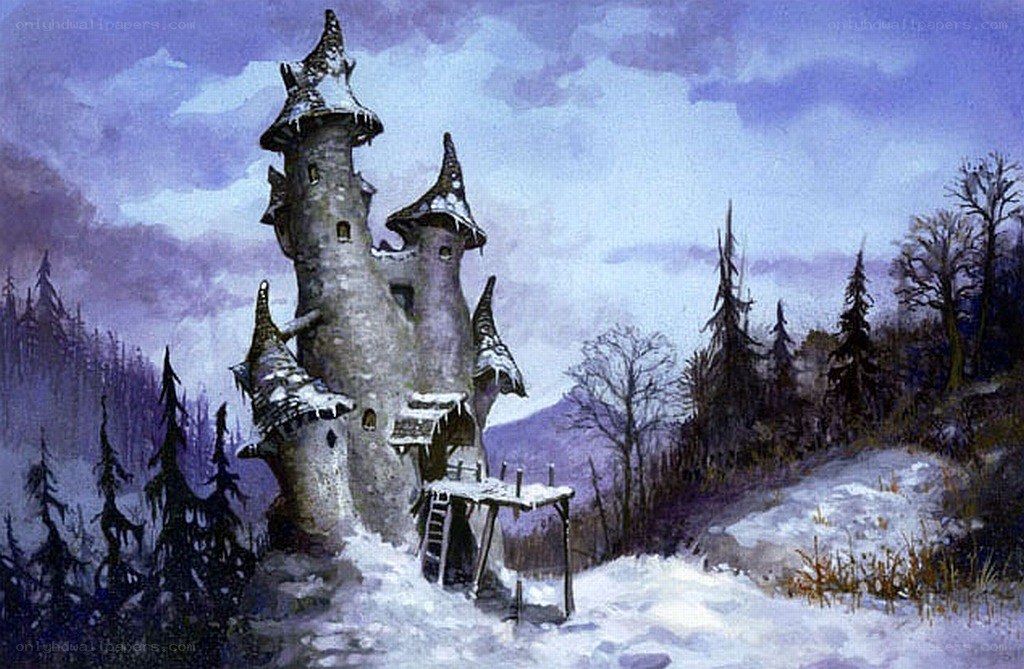 Snowy castle in winter forest