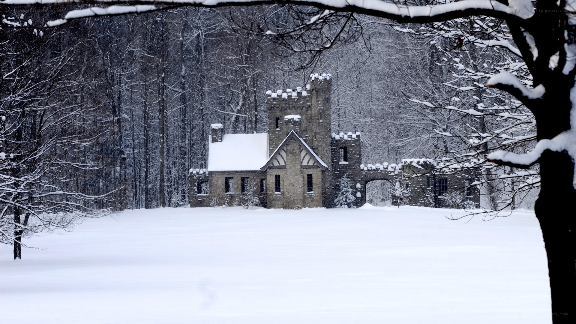 Snowy castle in winter forest