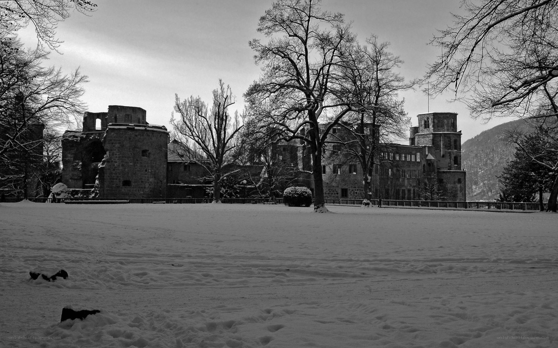 Snowy castle ruins in winter