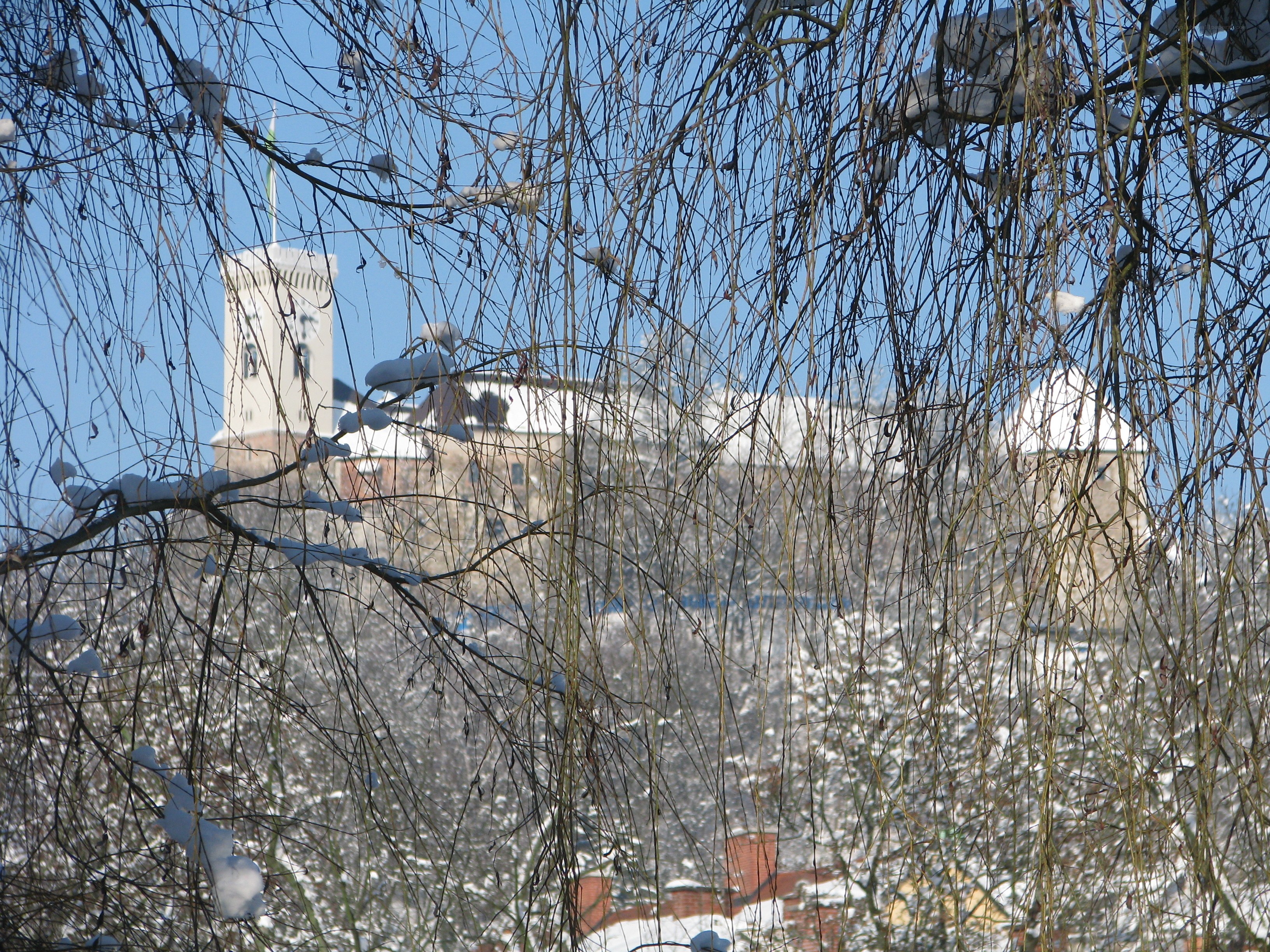 Snowy castle through bare branches