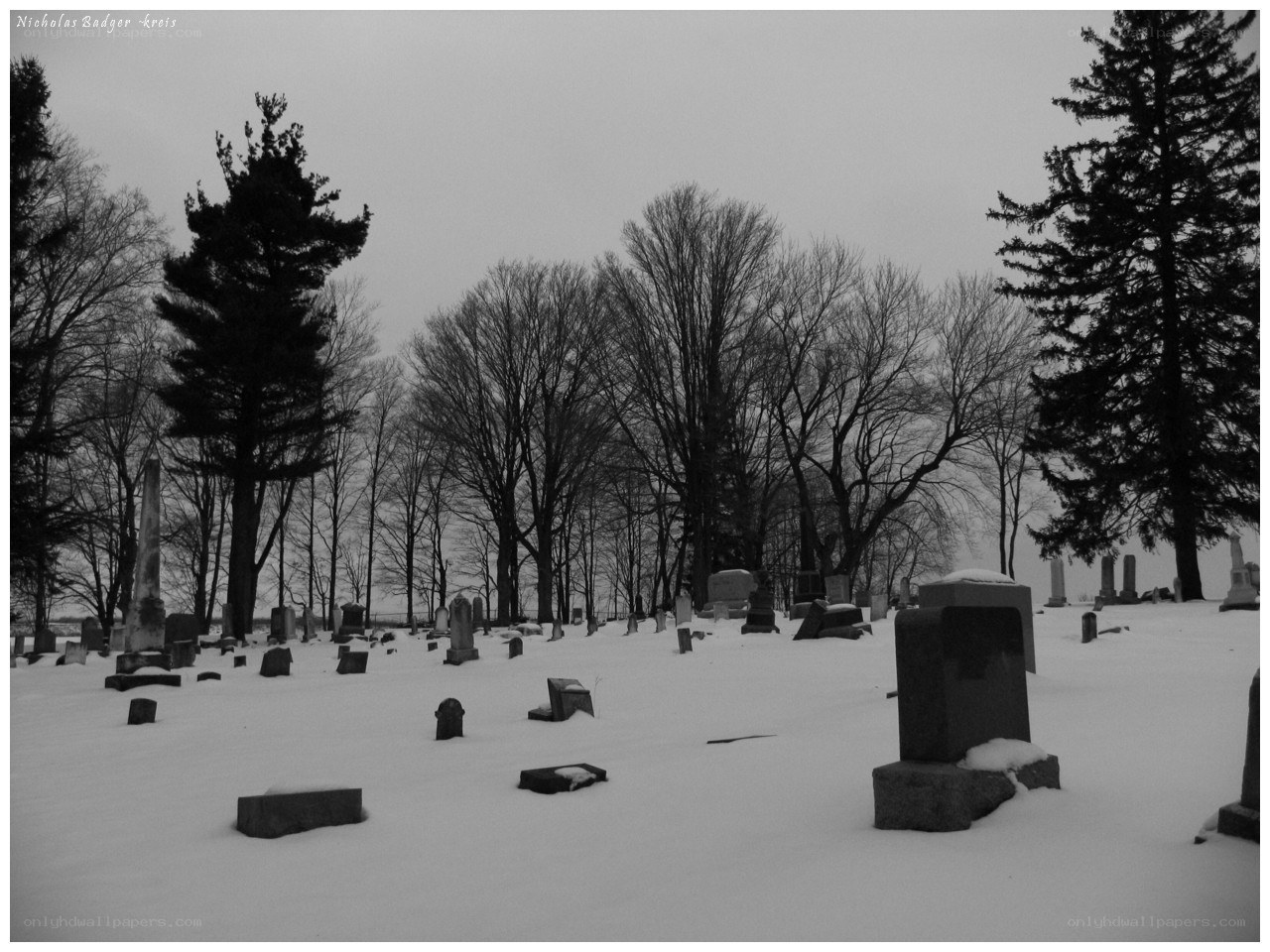 snowy cemetery in winter