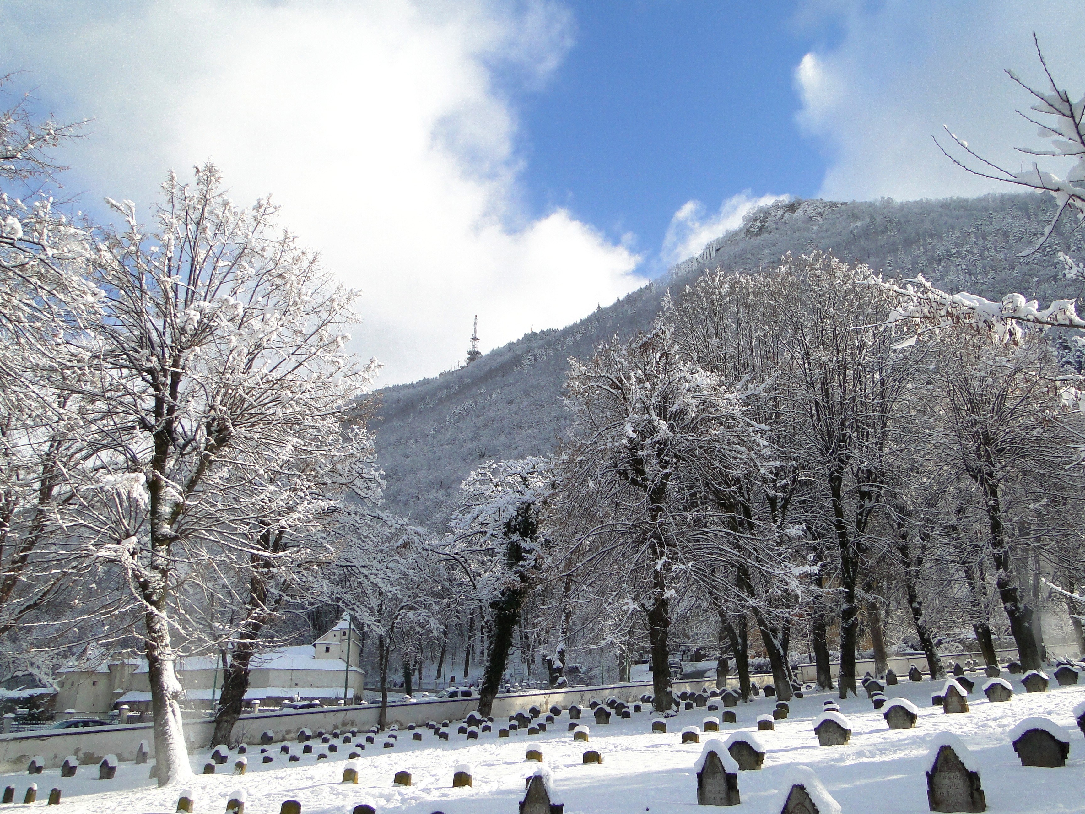 Snowy cemetery with mountain view
