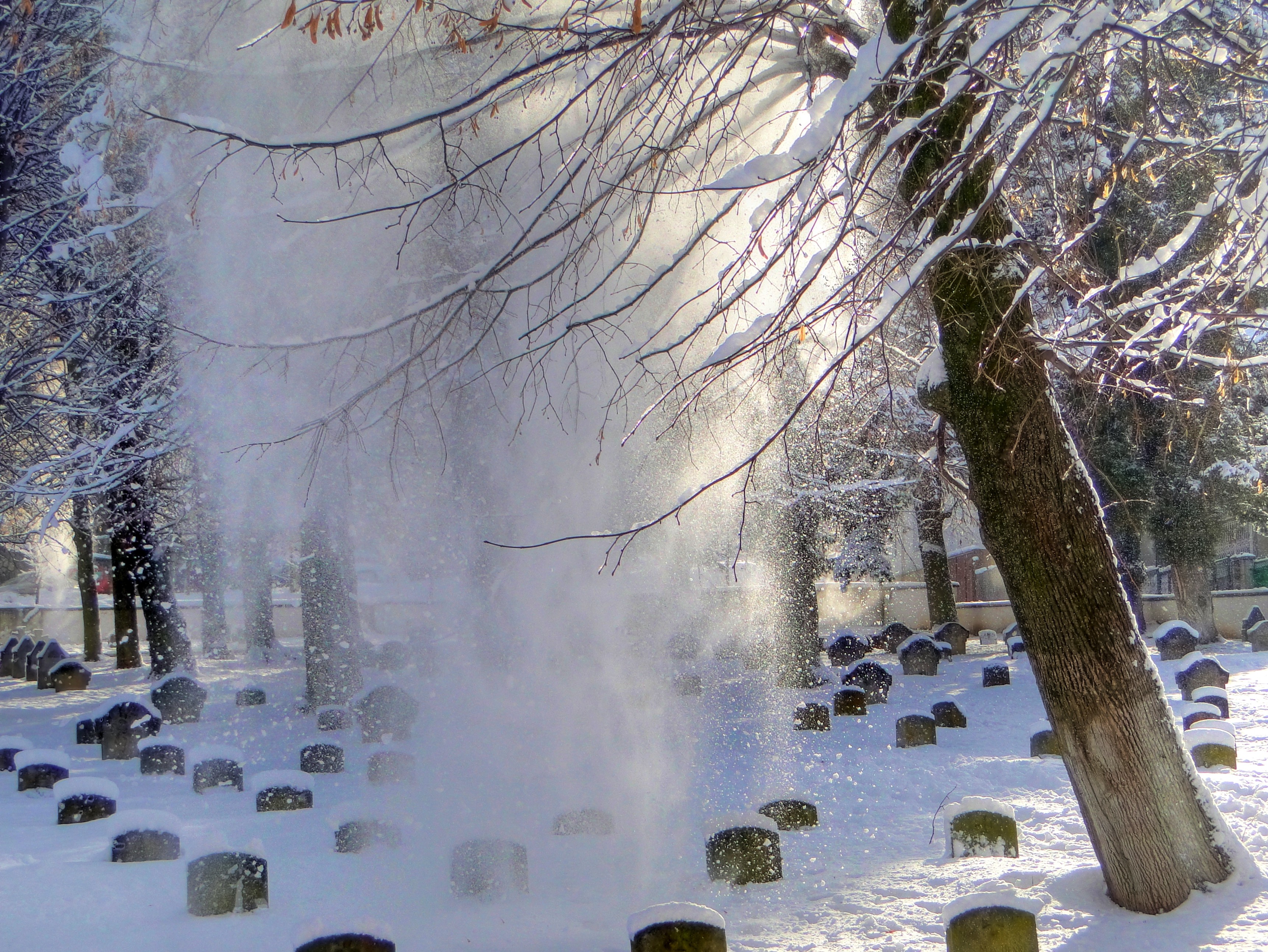 Snowy cemetery with sunlight