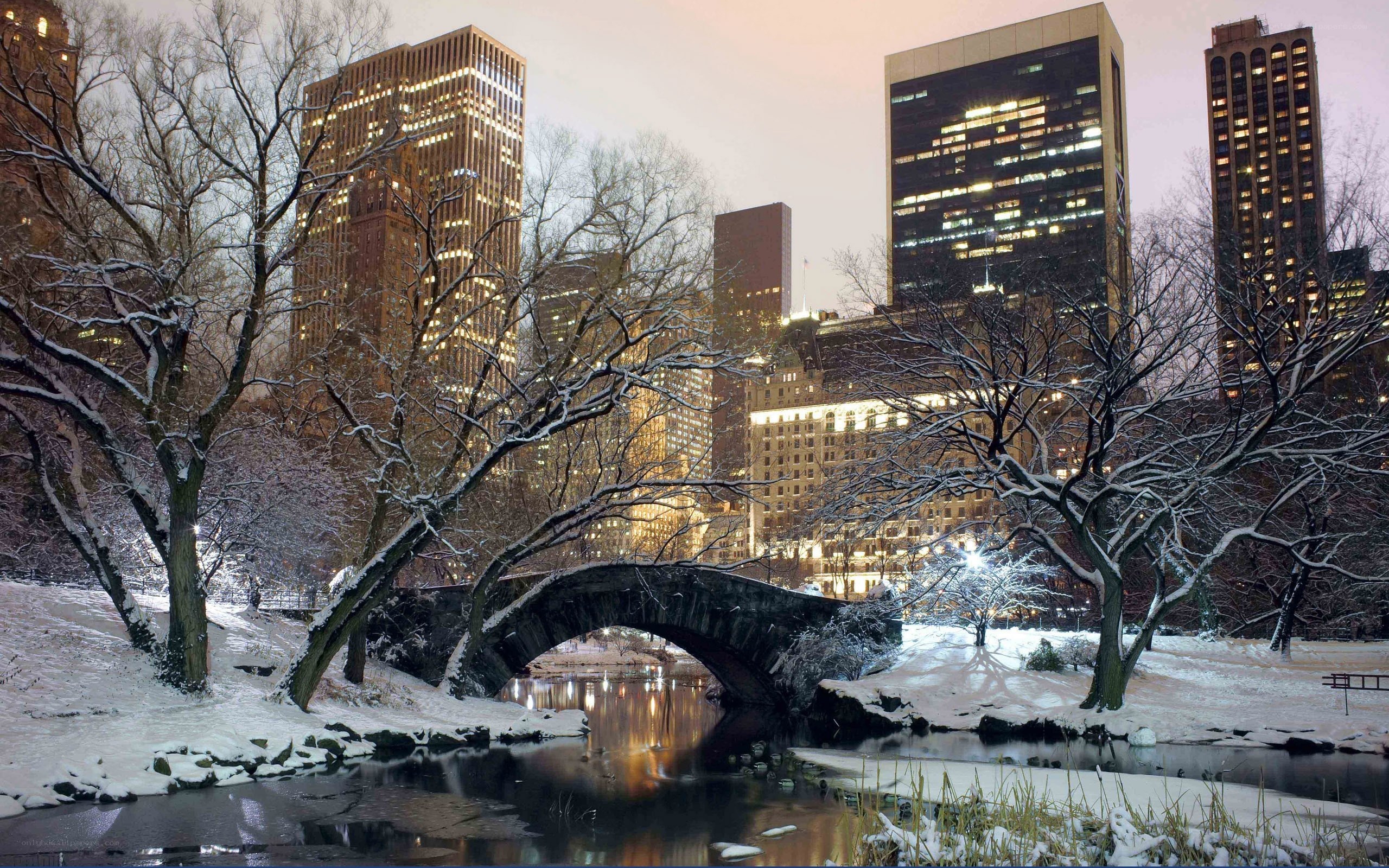 Snowy Central Park at dusk