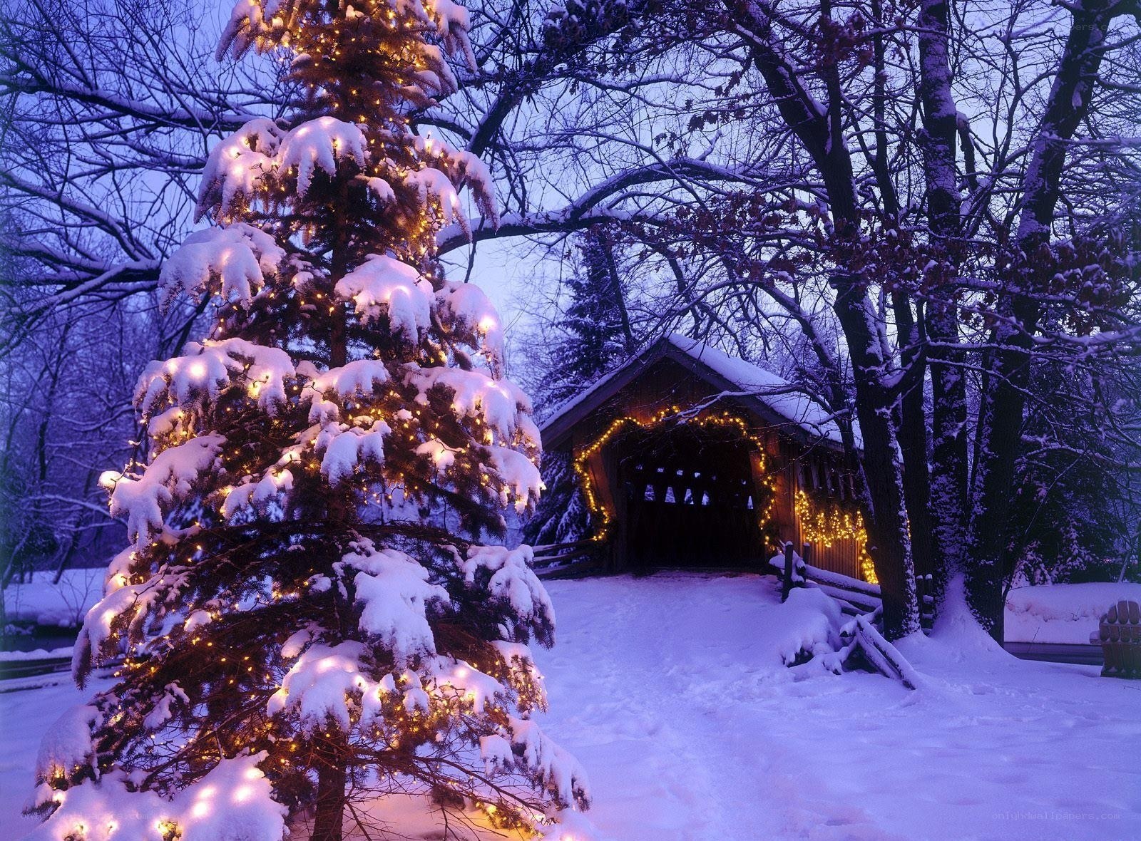 Snowy Christmas tree and covered bridge