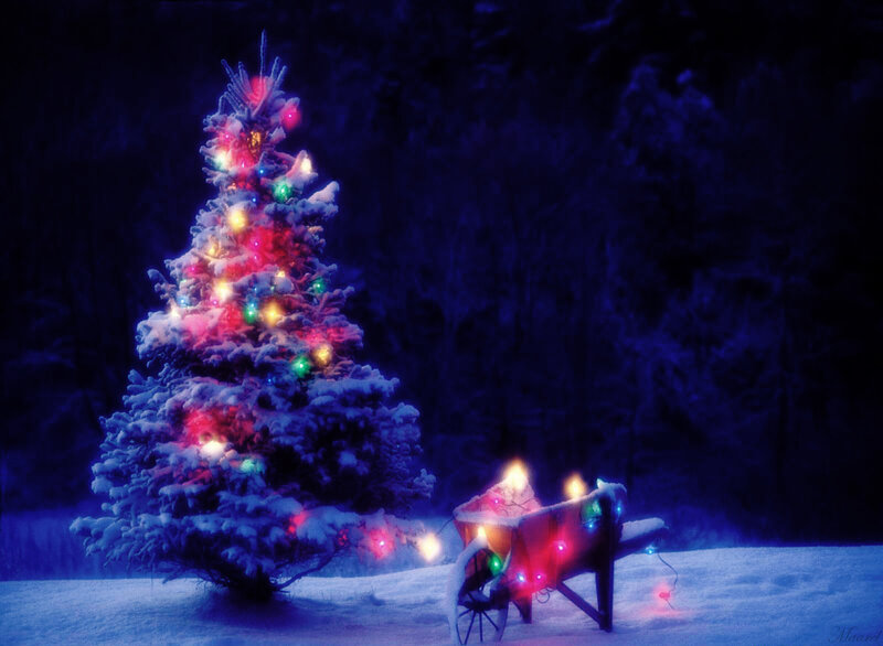 Snowy Christmas tree at night