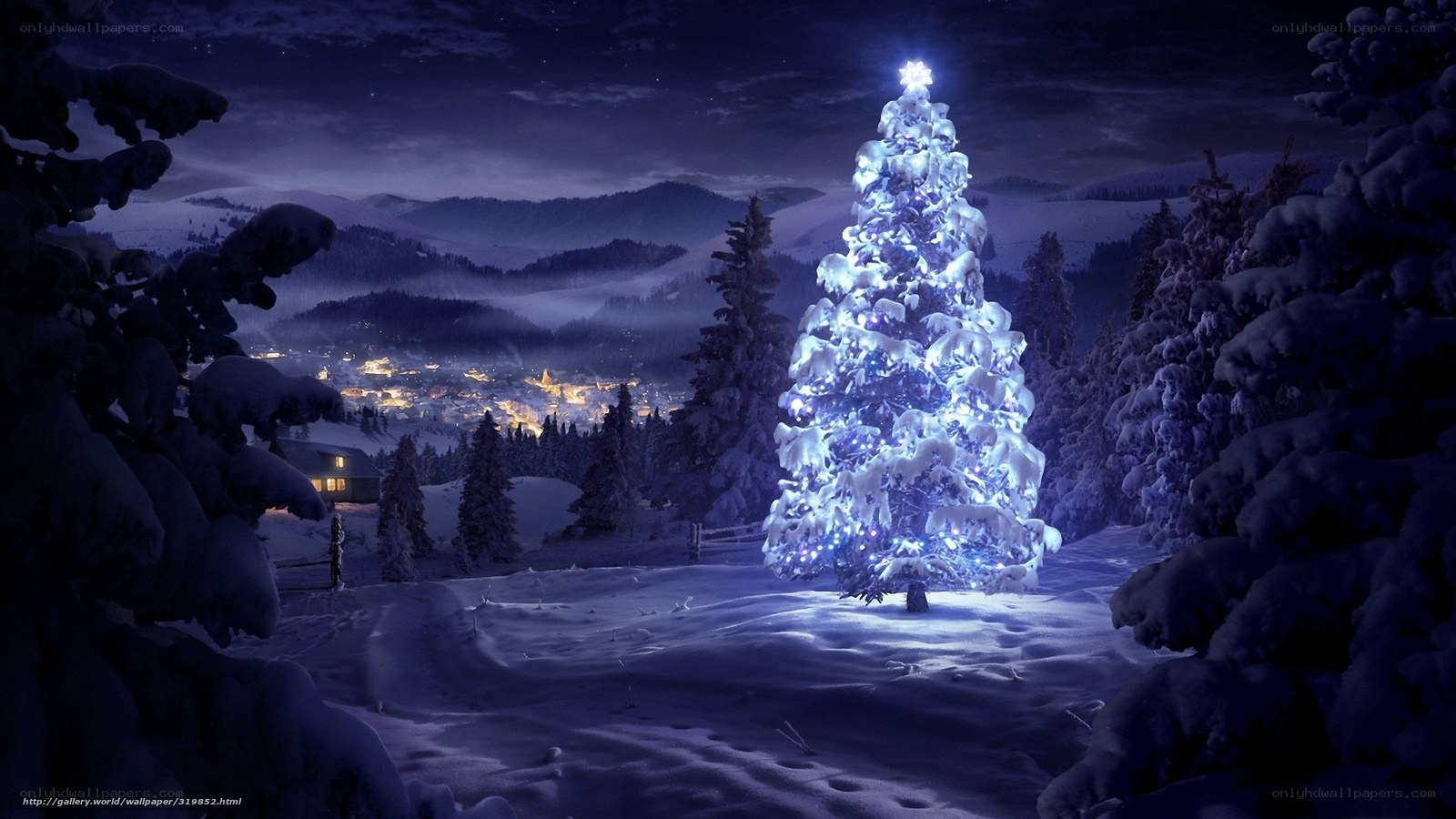 Snowy Christmas tree at night
