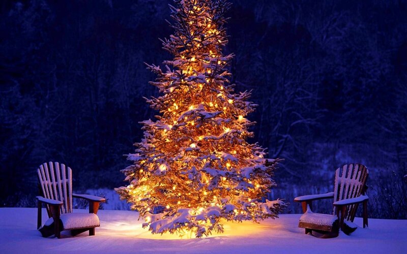 Snowy Christmas tree at night