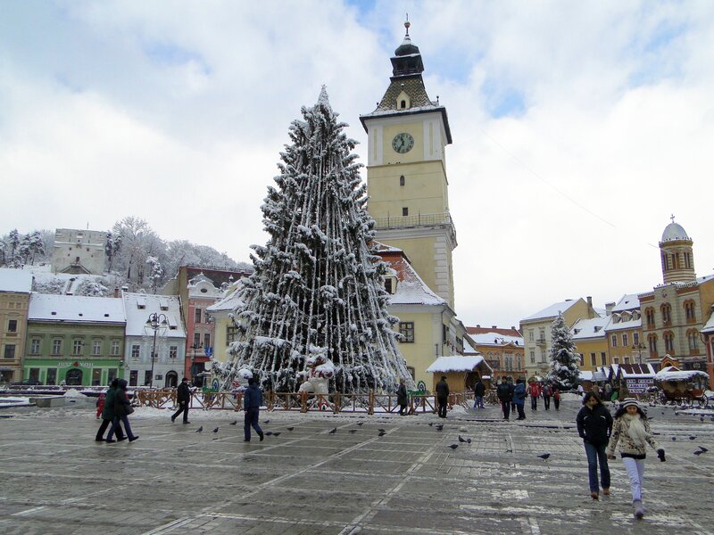 Snowy Christmas tree in town square
