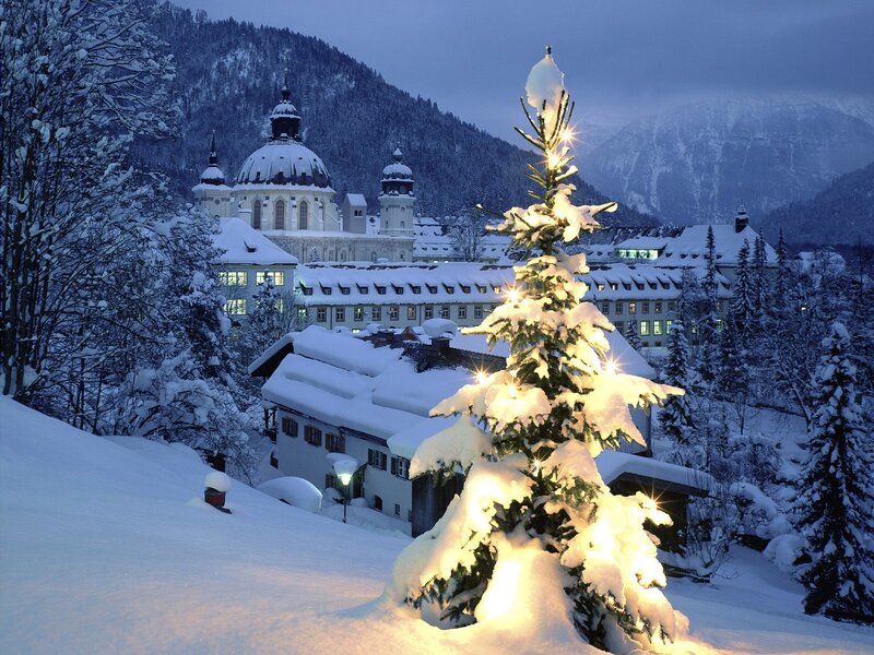 Snowy Christmas tree in village