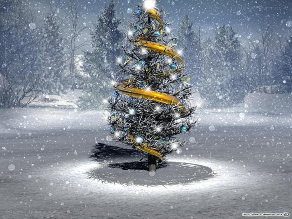snowy Christmas tree in winter