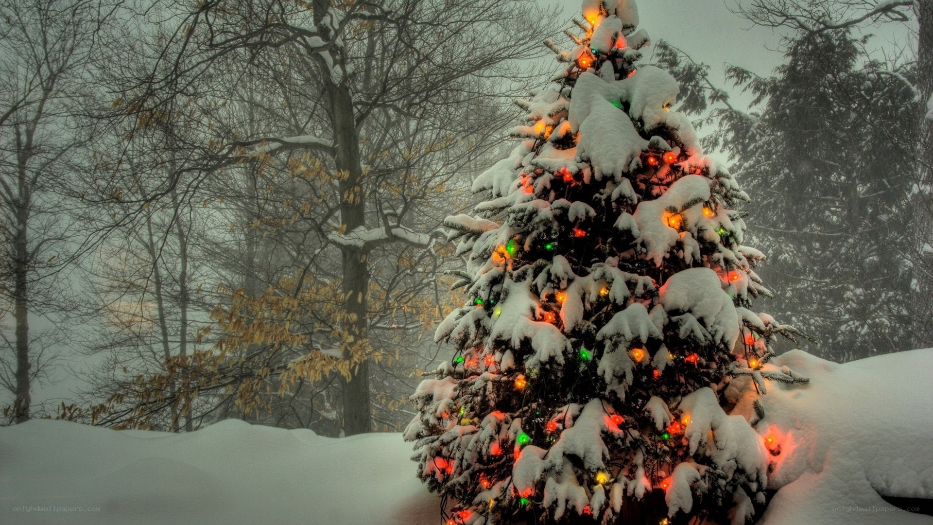 snowy christmas tree lights