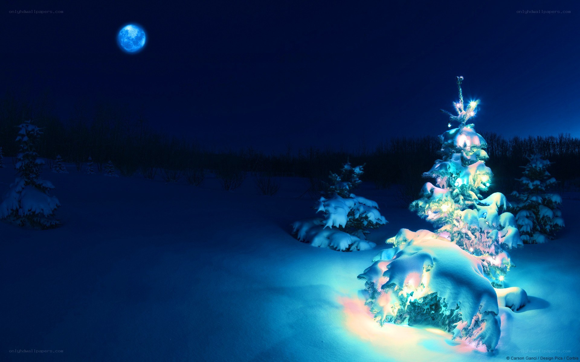 Snowy Christmas tree under blue moon