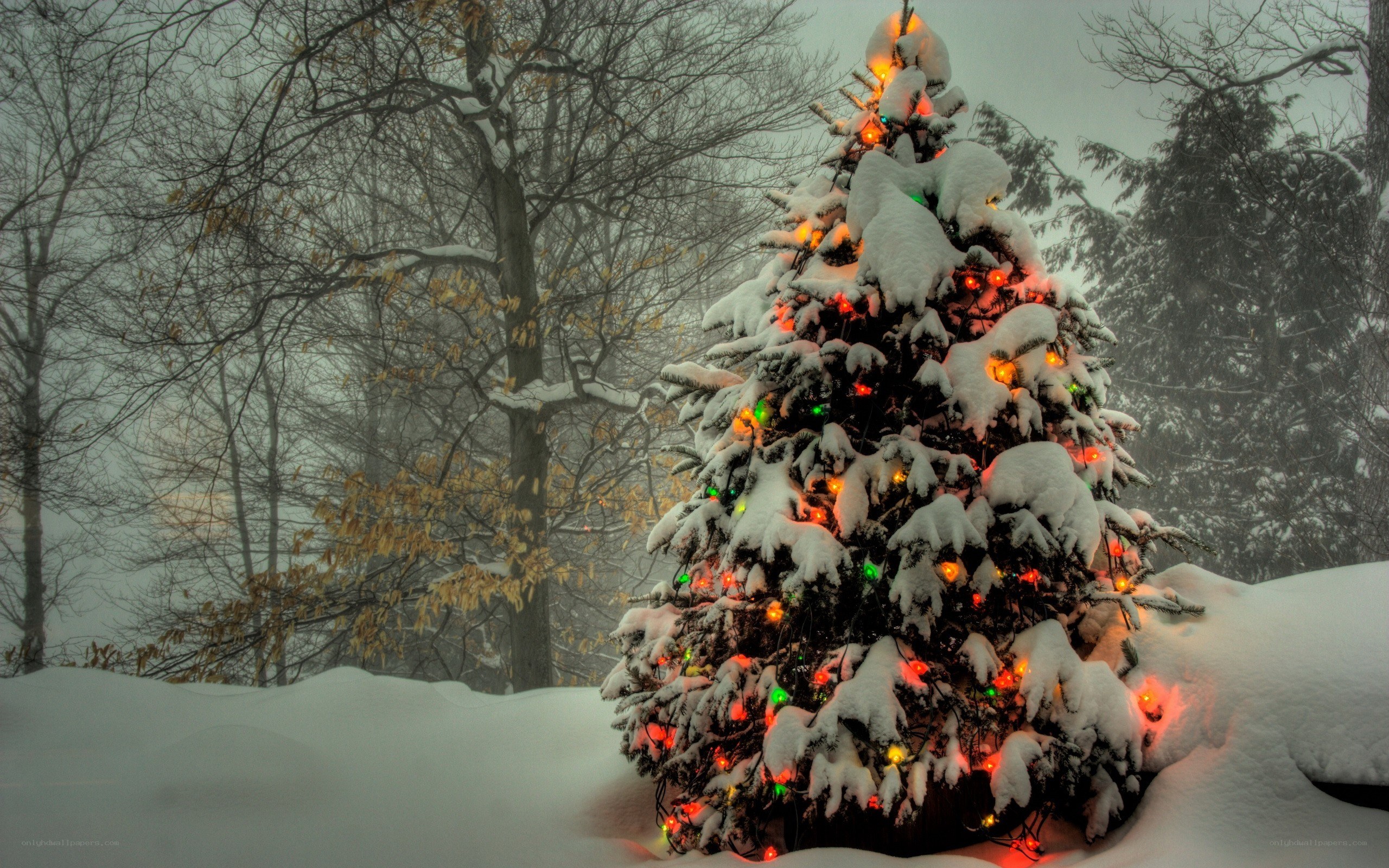 Snowy Christmas tree with lights