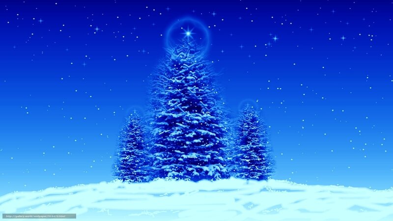 snowy christmas trees at night