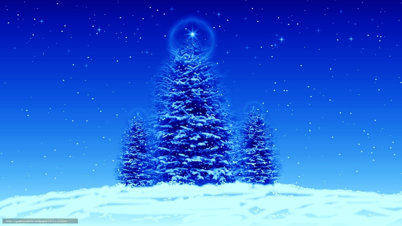 snowy christmas trees at night