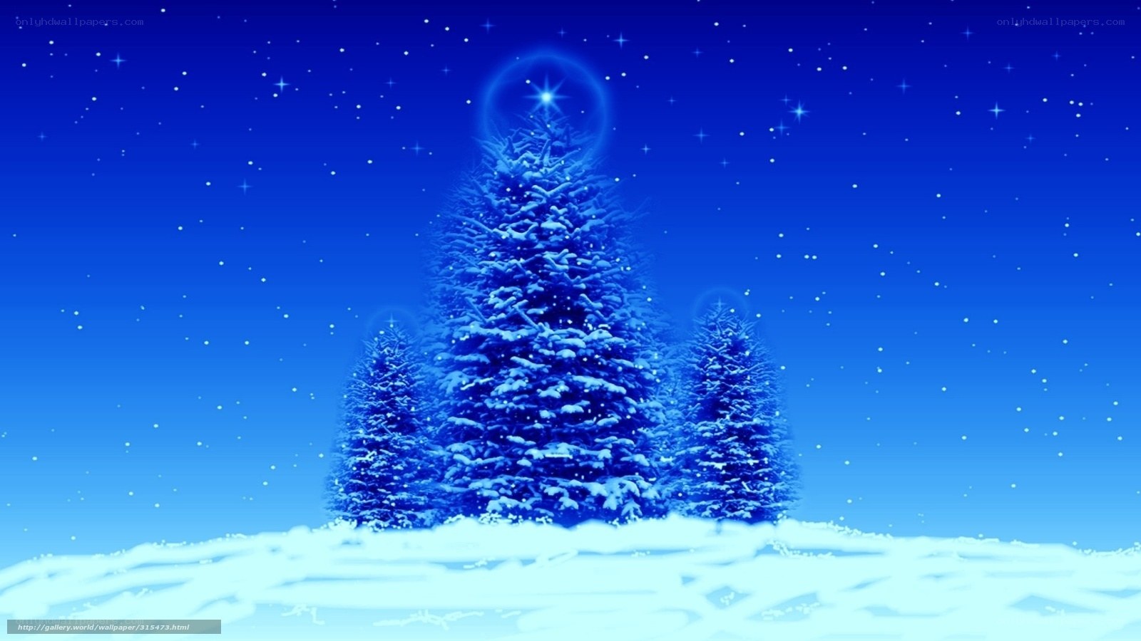 snowy christmas trees at night
