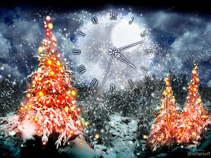 Snowy Christmas Trees — White, Festive