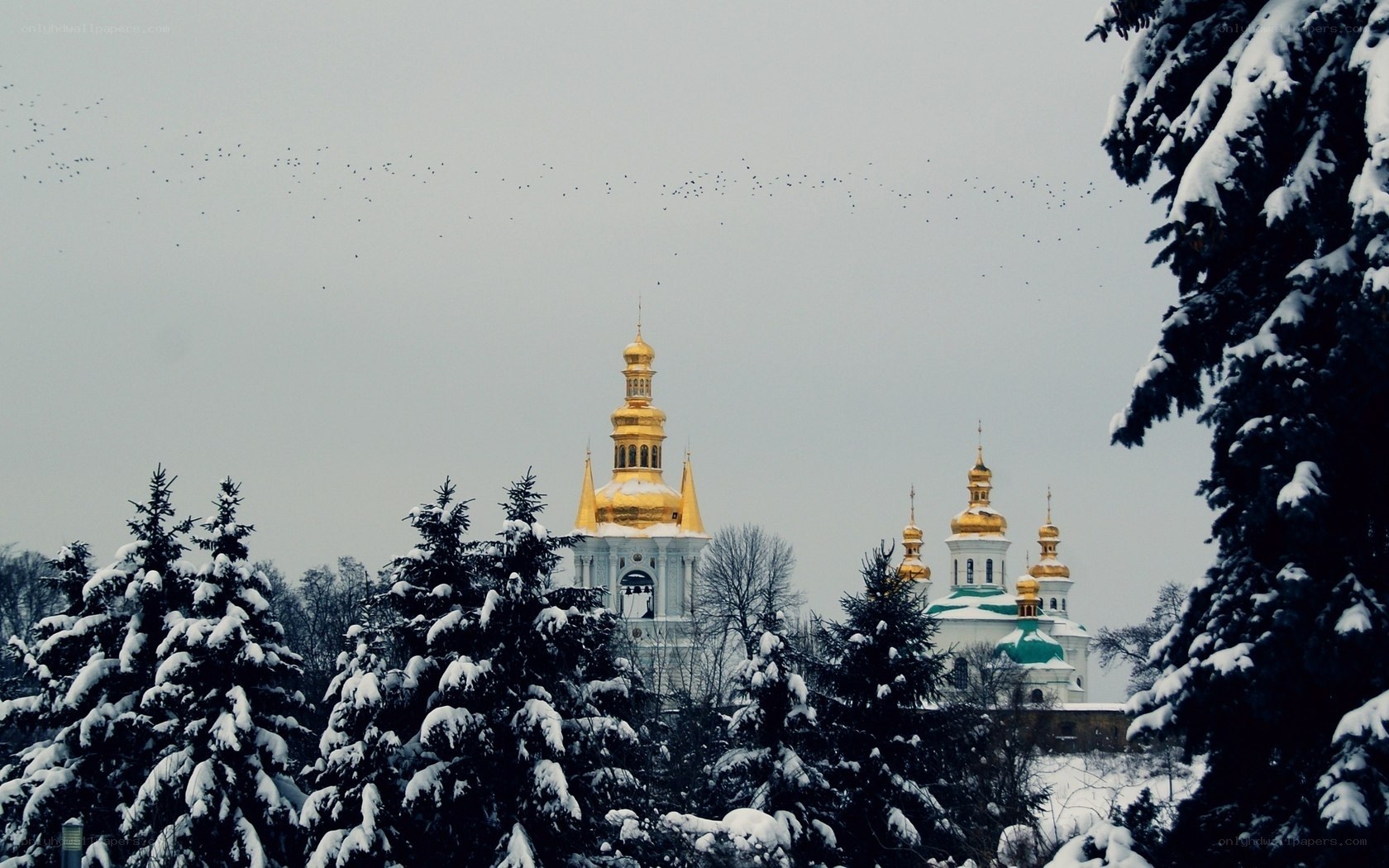 Snowy church with golden domes