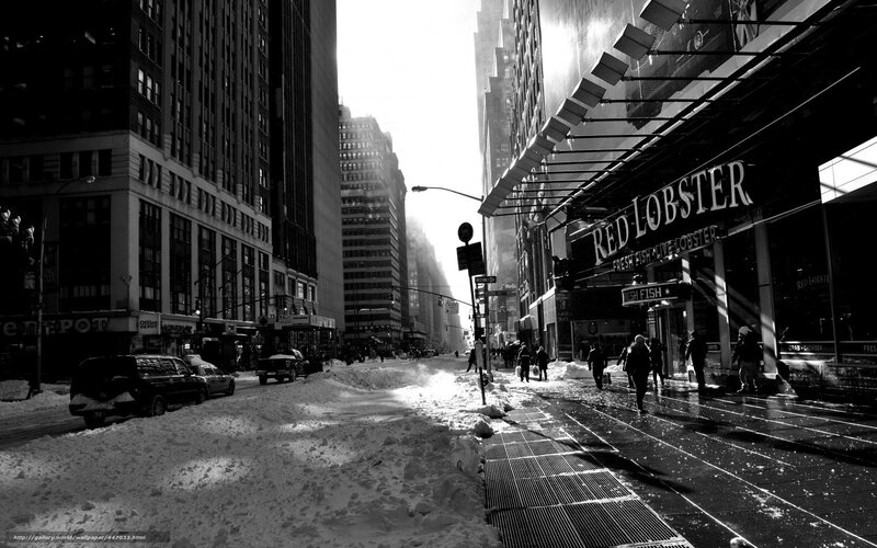 Snowy city street with Red Lobster