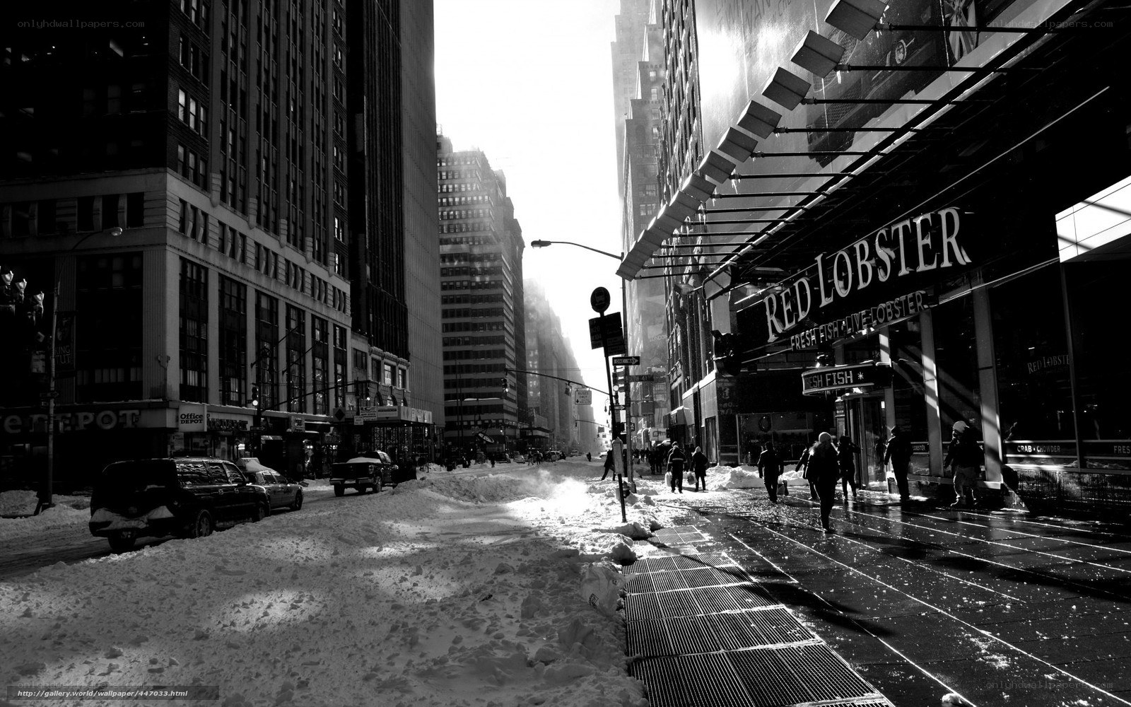 Snowy city street with Red Lobster