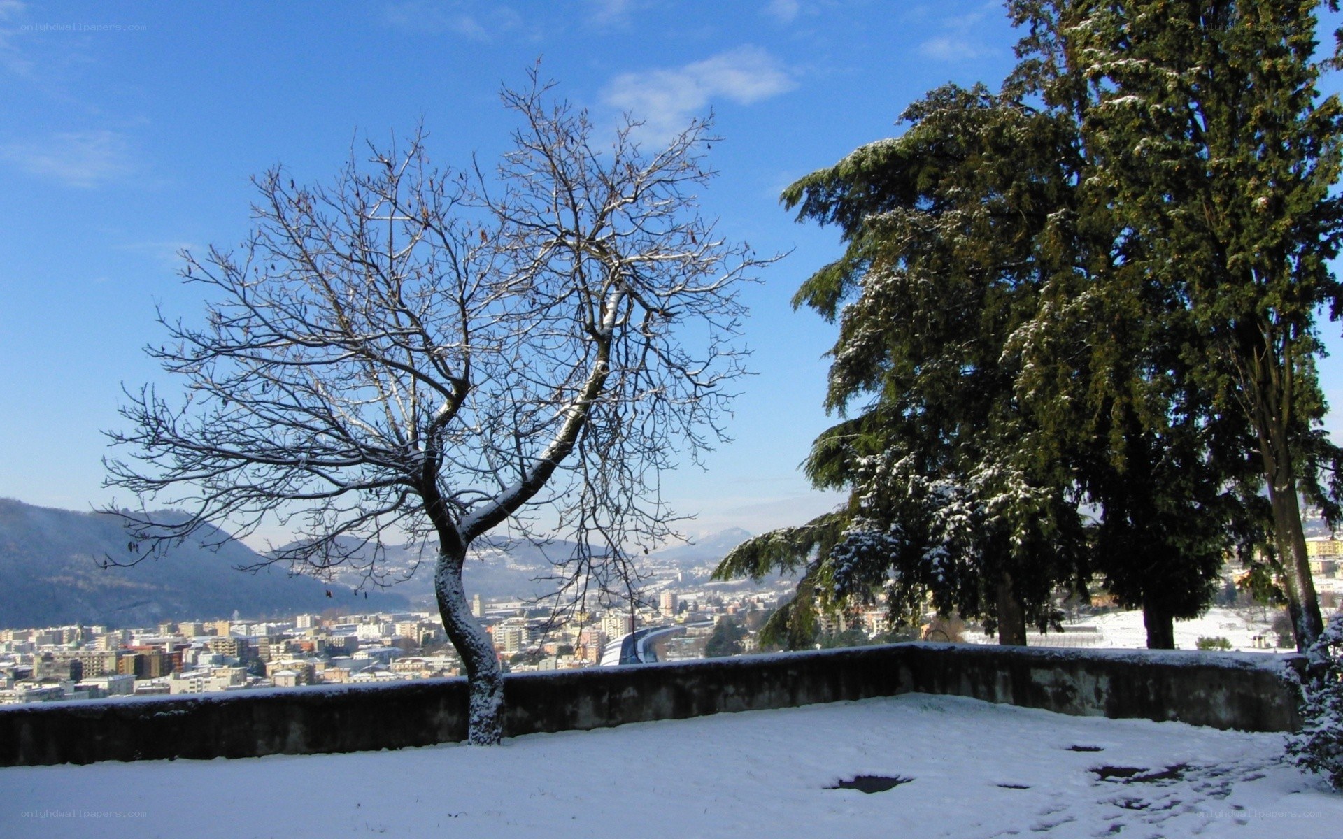 Snowy city view from a hill