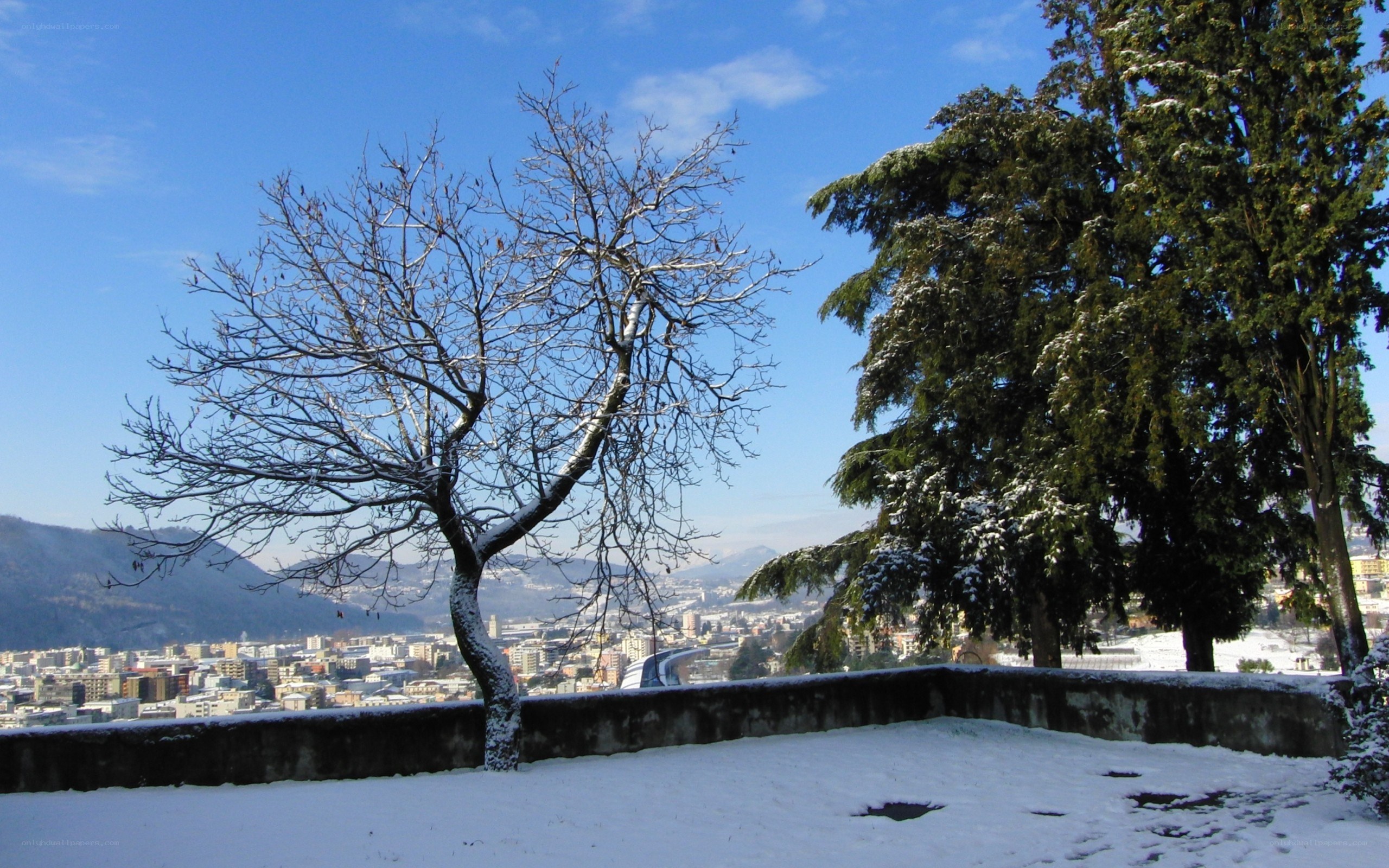 Snowy city view from hill