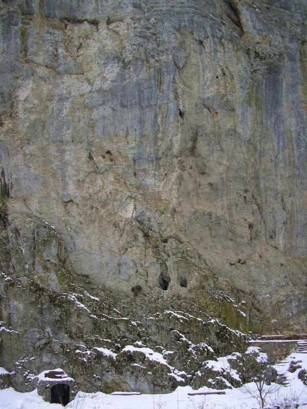 snowy cliff face with cave openings