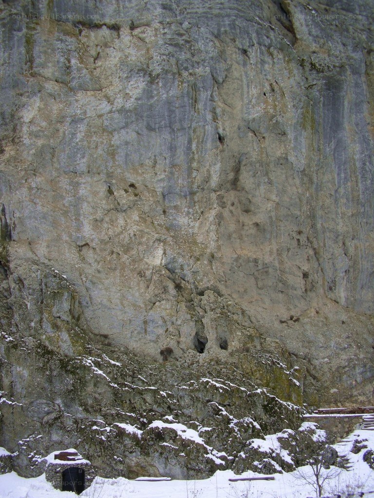 snowy cliff face with cave openings