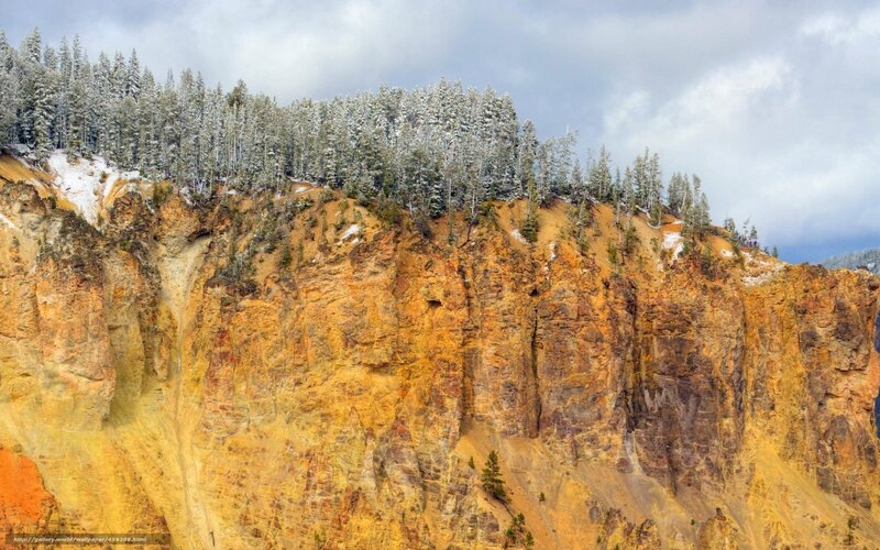 Snowy cliff face with forest