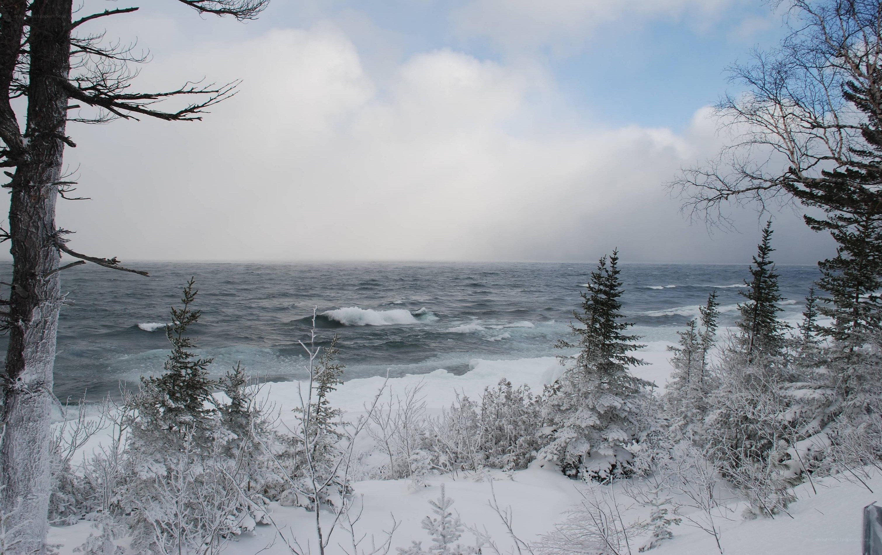 snowy coastal landscape