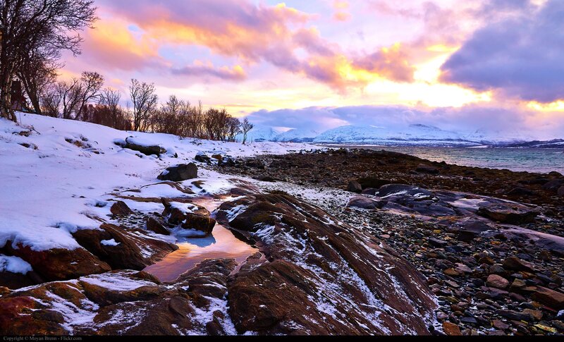 Snowy Coastal Landscape — Purple