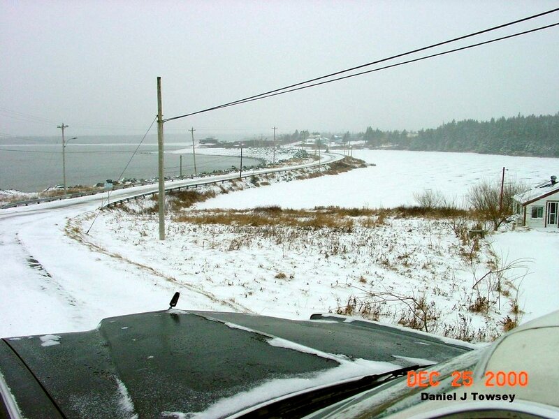 Snowy coastal road in winter