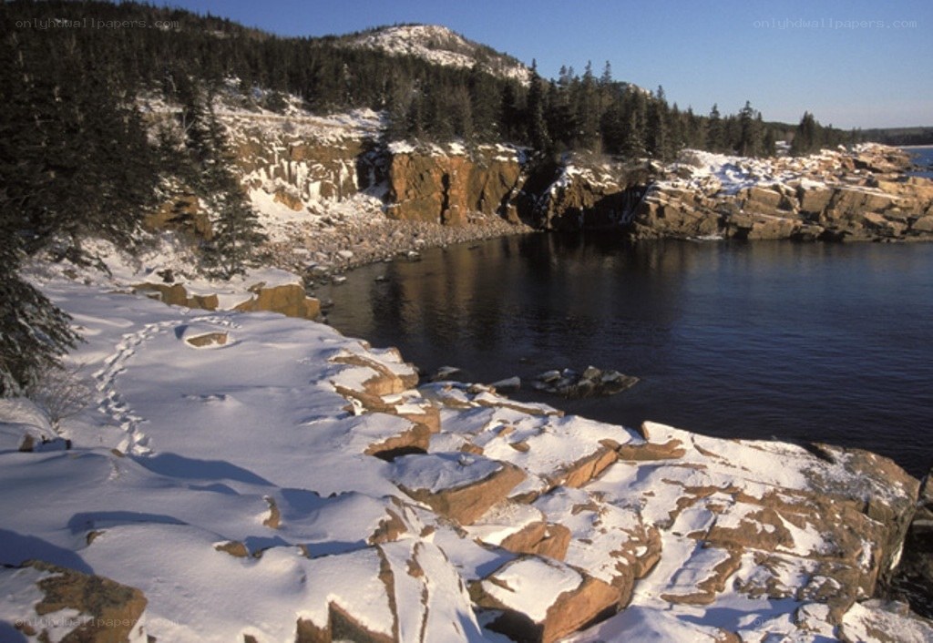 snowy coastal rocks and forest