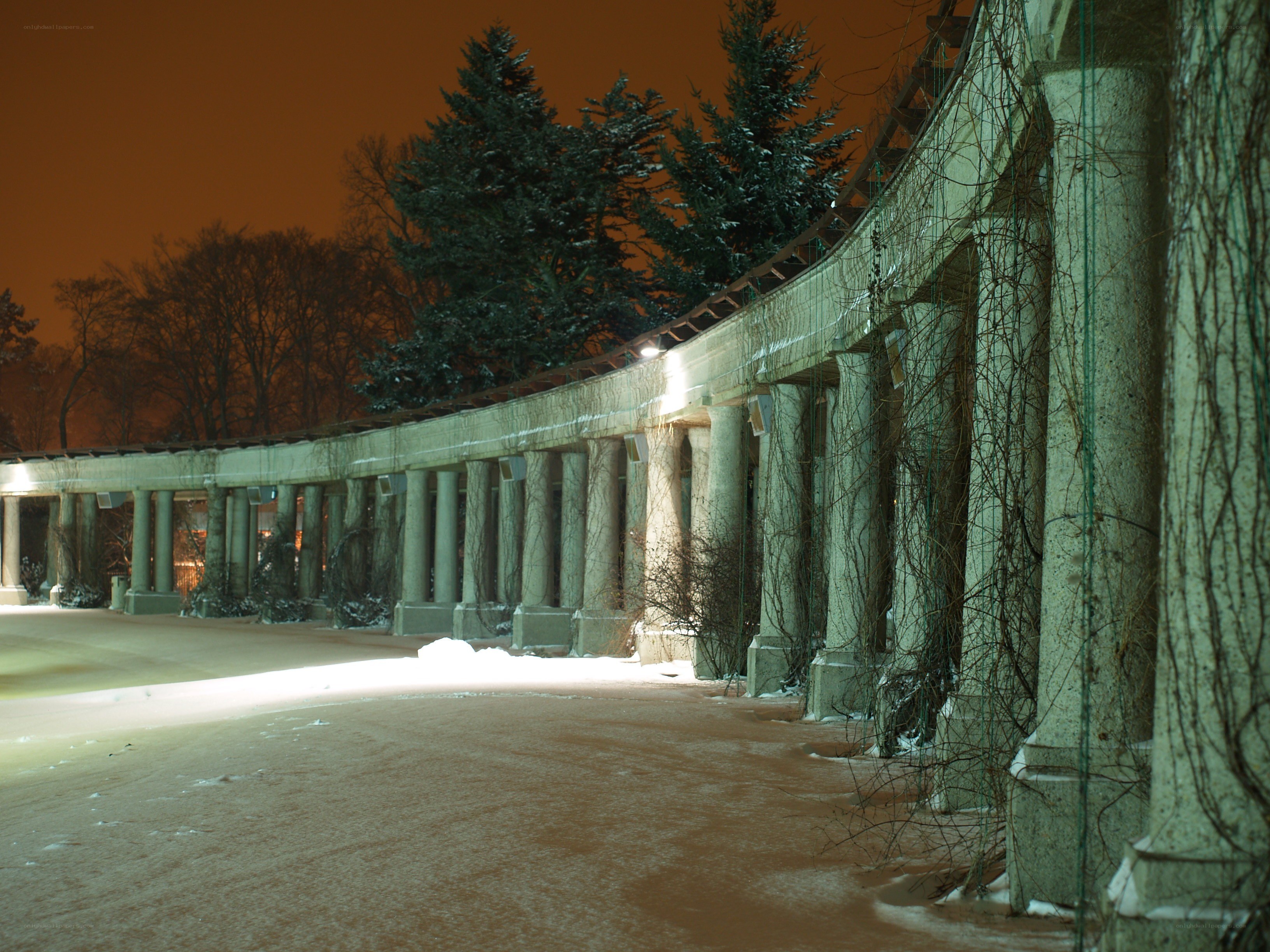 snowy colonnade at night
