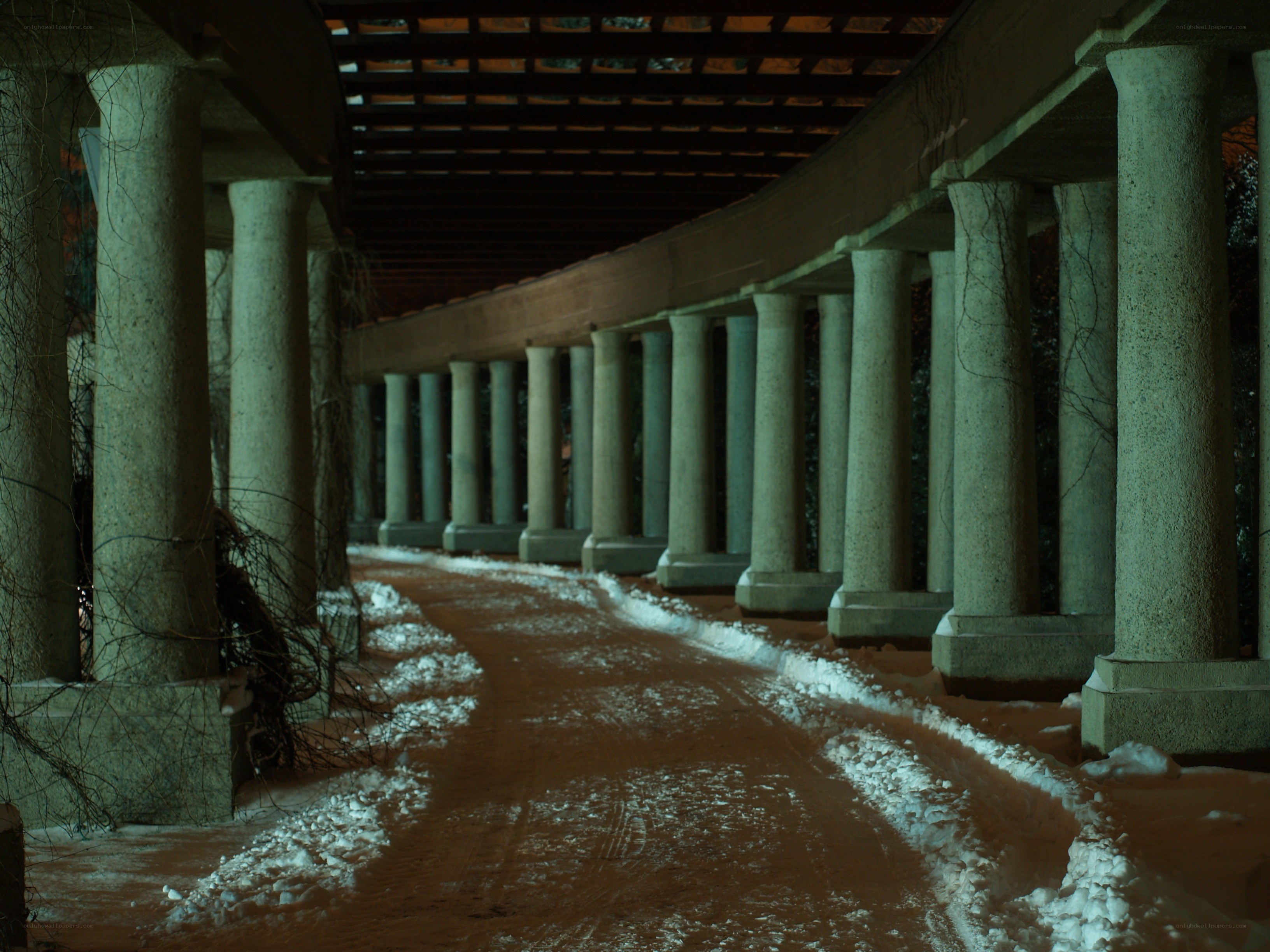 Snowy colonnade at night