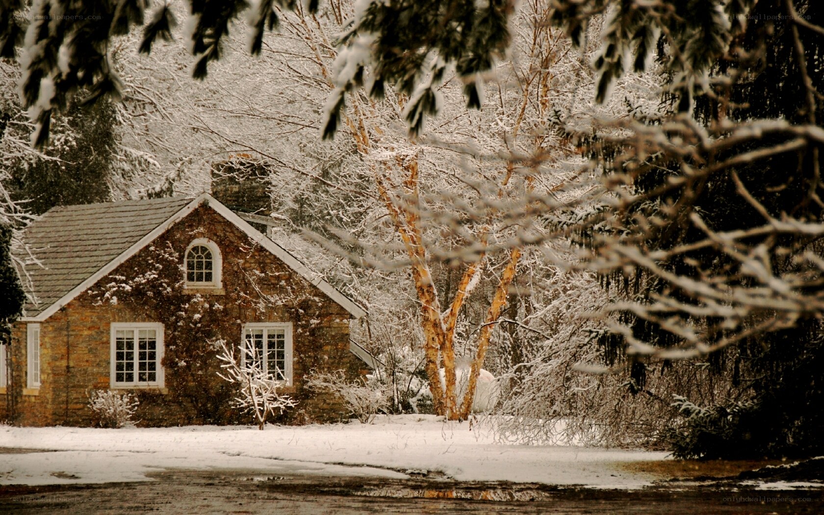 Snowy cottage in winter