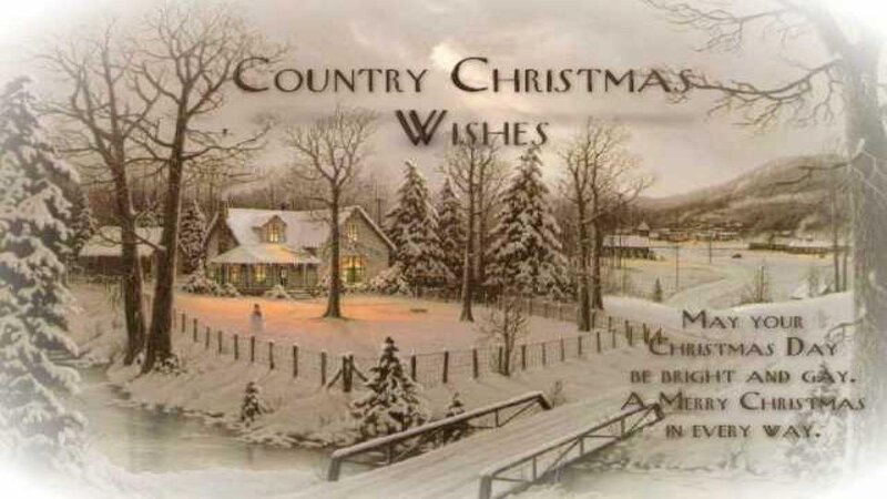 Snowy Country House
